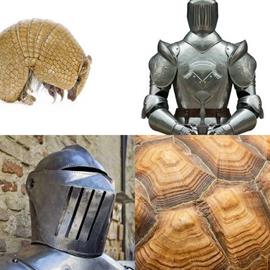 solution ARMURE