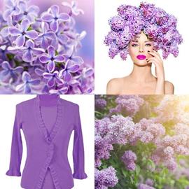 solution LILAS