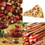 RHUBARBE