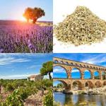 PROVENCE
