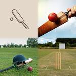 CRICKET