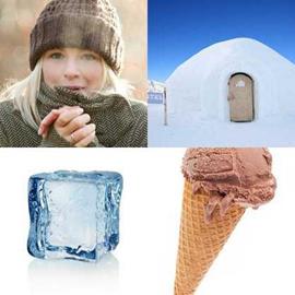 solution FROID
