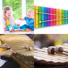 solution XYLOPHONE