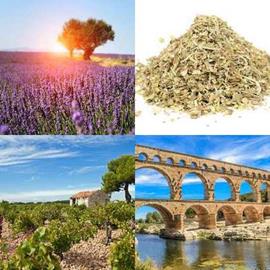 solution PROVENCE