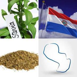 solution PARAGUAY